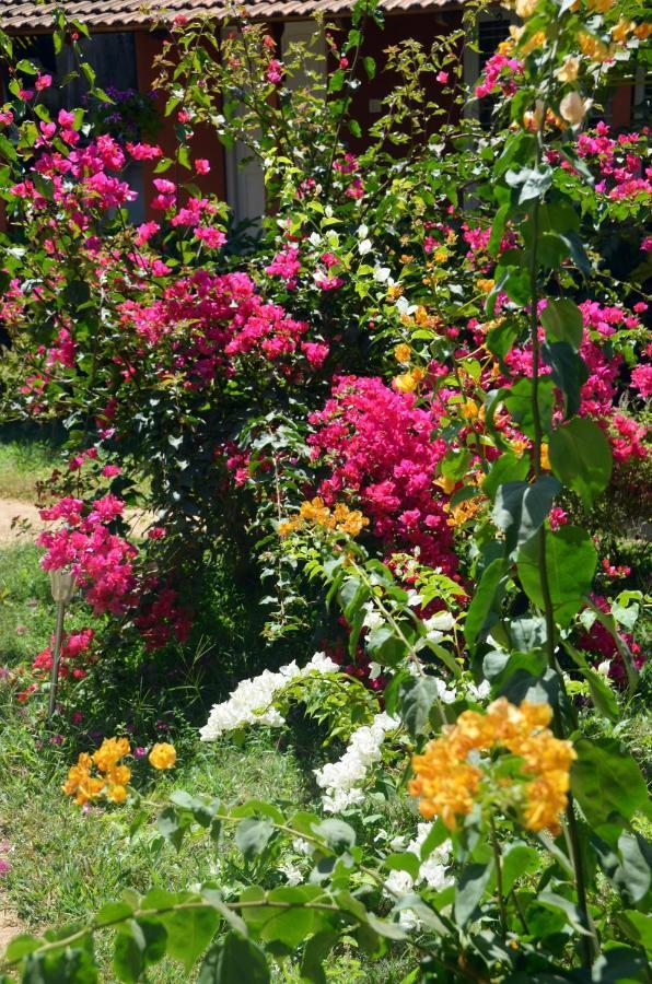 Arya Homestay Bougain Villa Gokarna  Dış mekan fotoğraf